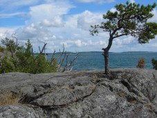 Fiske med guide i skärgård för 2 Stockholm (Trosa)
