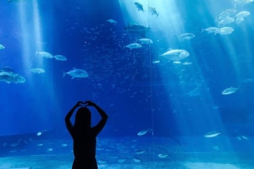 Visite de l'Aquarium de Paris - 2 billets enfants - (3-12 ans)