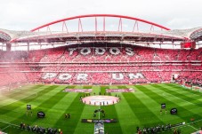 Pack SLB - Estádio & Museu + Cachecol p/2