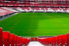 Pack SLB - Estádio & Museu + Cachecol p/2
