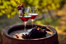 Guided tour of Loire Valley with hotel pick-up in Paris