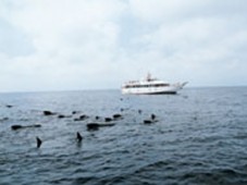 Whale Watching Genova Porto Antico