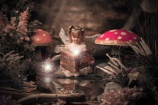 Sibling Fairy Photoshoot Experience