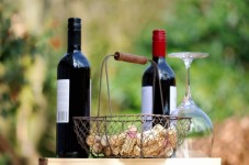 Degustazione vini tipici sulle colline Lucane