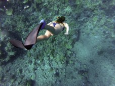 Escursione di Snorkeling & soggiorno 2 notti
