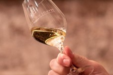 Fromages et accords improbables - Paris (75) 