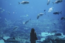 Visite de l'Aquarium de Paris - 2 billets enfants - (3-12 ans)