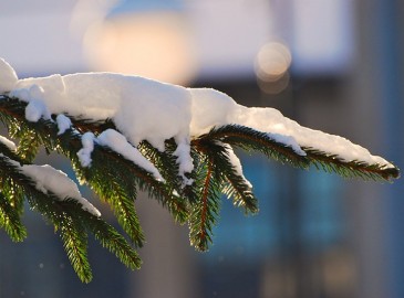 Avslappnande Julklappar