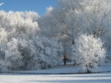 Julklappstips i Västerås