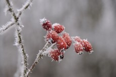 Julklappstips i Linköping